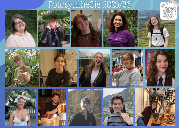 FotosyntheCie
