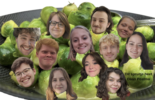 Mitochondriërs